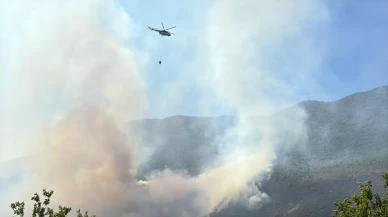 Bartın'da ormanlık alanda yangın