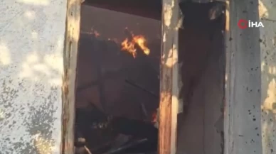 Çanakkale'de Saçaklı köyü alevlere teslim oldu