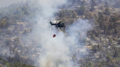 Alevler Meriç Otoyolu’nu ve nehrini aştı