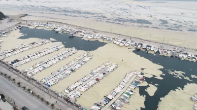 Devlet desteği bu kez balıkçılara! Marmara'da müsilaj için harekete geçildi