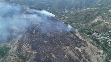 Tekirdağ Uçmakdere'de orman yangını kontrol altına alındı