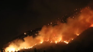Denizli’de orman yangınına gece karadan müdahale sürüyor