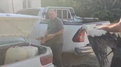 Leyleğin imdadına balıkçılar yetişti