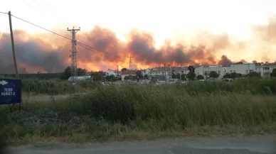 Edirne'de tarlada çıkan yangın ormanlık alana doğru ilerliyor