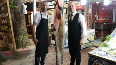 Amasya'da dev yayın balığı yakalandı