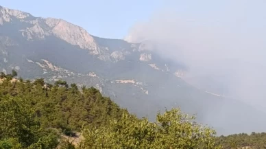 Sinop'ta çıkan orman yangınına müdahale ediliyor