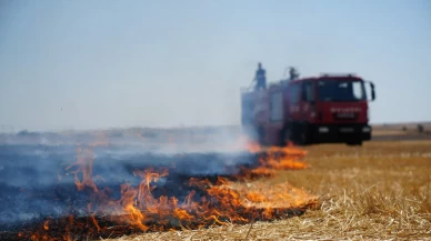 Edirne'de anız yangını