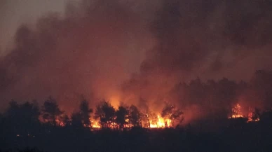 Çanakkale’deki orman yangınına karadan müdahale devam ediyor