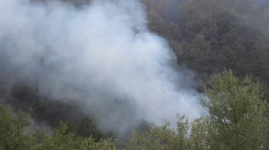 Bolu'daki orman yangını kısmi olarak kontrol altına alındı