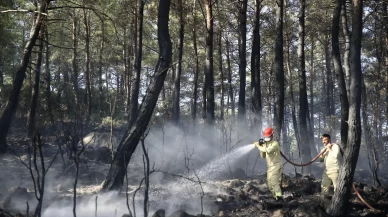 Muğla'da çıkan orman yangını kontrol altına alındı