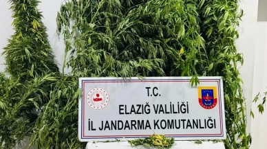 Elazığ’da uyuşturucuyla mücadele