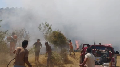 Bingöl'deki orman yangını kontrol altına alındı