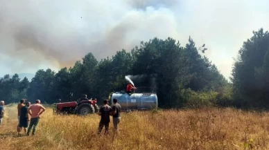 Ormanlık alanda yangın