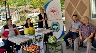 Doğal Emet Göncek köyü kavunu için 35 çiftçiye eğitim