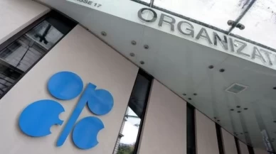 OPEC'in ham petrol üretimi temmuzda arttı