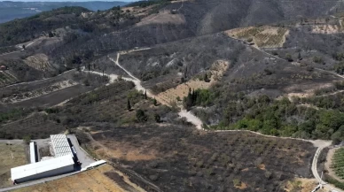 Kocaeli Karamürsel'deki orman yangını kontrol altında
