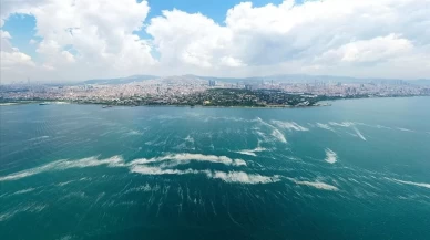 Marmara'da müsilaja sıkı takip: 55 tesis kapatıldı, 822,5 milyon TL ceza kesildi