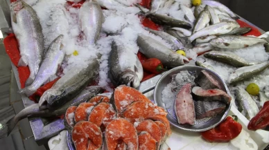 Esnafta ‘balık sezonu’ hazırlığı