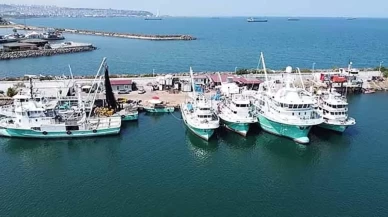 Karadenizli balıkçılar yeni sezonda hamsiden umutlu