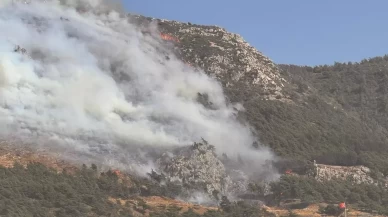 Hatay'da ormanlık alanda yangın