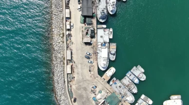 İzmir'de deniz kirliliği balığı vurdu: Sardalyasız sezon kapıda