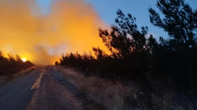 Çanakkale Bayramiç'teki yangını söndürme çalışmaları aralıksız sürüyor