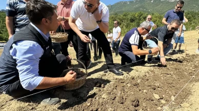 80 Bin Çiçekten Yarım Kilo! "Dünyanın En Pahalı Baharatı"nın Kilosu Altınla Yarışıyor
