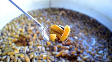 Hem doğal hem şifalı! Patlıcan reçeli nasıl yapılır?