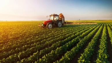 Tarım ÜFE temmuzda aylık bazda yüzde 5,66 azaldı