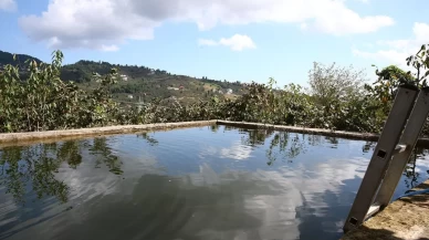 Giresun’da damla sulama mucizesi