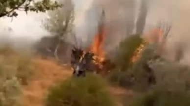 Rüzgar yangını büyüttü, ekipler 1 saatte kontrol altına aldı