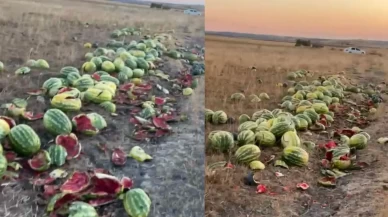 Tekirdağ’da israf tepkisi: Karpuzlar yola saçıldı