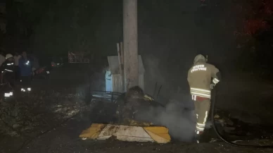 Yağ bezelerinden bu pratik yöntemle kurtulun