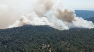 Sinop'ta orman yangını: Ekiplerin müdahalesi başladı