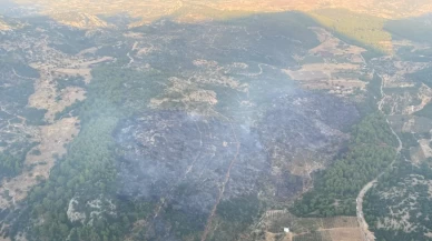 Muğla'daki orman yangını kontrol altına alındı