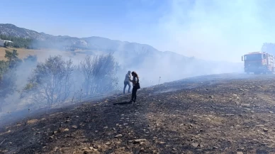 Adana'da çıkan orman yangını kontrol altına alındı