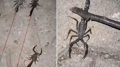 Evler ve sokaklar yürünmez halde...