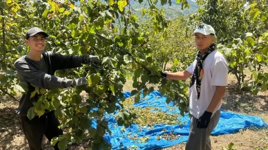 Fırsatçılık Tavan Yaptı! Tırpan Fiyatları 1 Ayda Katlandı, Üretici Ayaklandı