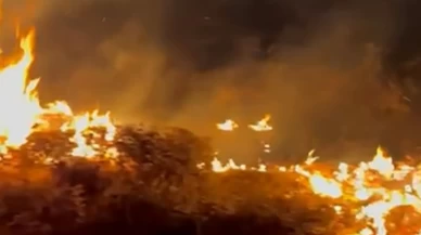 Bitlis’te örtü yangını