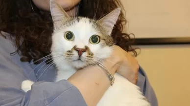 Şehir değiştirince depresyona girmişti! Tedavi yöntemi herkesi şaşırttı