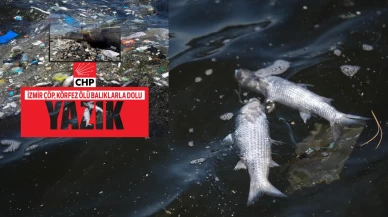 Lafa gelince mangalda kül bırakmazlar! İşte CHP belediyeciliği!