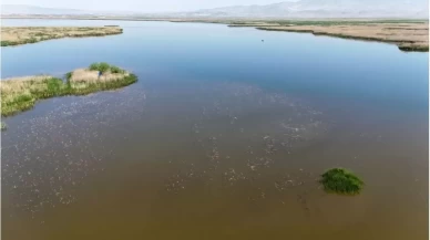 Eber Gölü'ne giriş çıkışlar yasaklandı