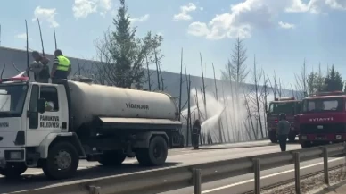 Ağaçlar alev topuna döndü, trafik durduruldu