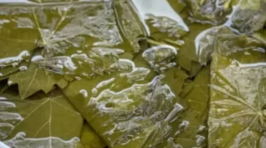 Taze yaprak salamura yöntemiyle nasıl saklanır?