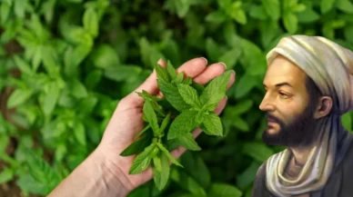 Rezene, papatya ve kerevizle rahat bir karın mümkün mü?