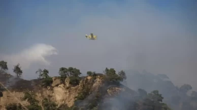 Aydın'da zeytinlik ve ormanlık alanda yangın