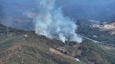 Düzce'de korkutan yangın