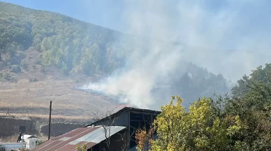 Gümüşhane'de çıkan orman yangını söndürüldü
