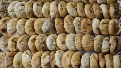 Kuru incirle yapılabilecek 10 farklı tarif