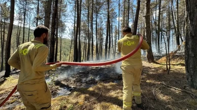 Karabük’te orman yangını!
